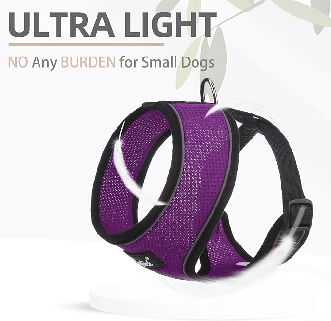 PUPTECK Soft Mesh Dog Harness and Leash Set Pet Puppy Cat Comfort Padded Vest No Pull Harnesses, Solid Purple, M PUPTECK