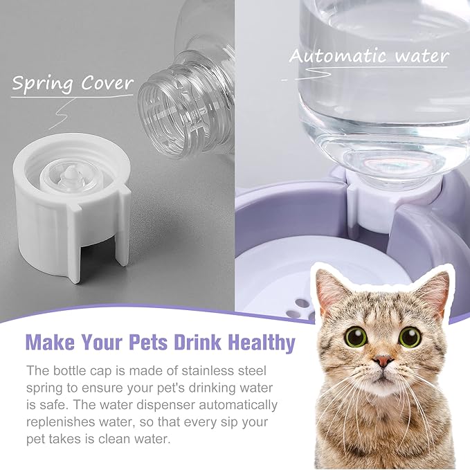 Dog Bowls, Cat Food and Water Bowl Set with Water Dispenser and Stainless Steel Bowl for Cats and Small Dogs - Purple - PAWPICO