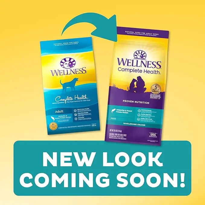 Wellness Complete Health Dry Dog Food with Grains, Made in USA with Real Meat & Natural Ingredients, All Breeds, Adult Dogs (Whitefish, 30-lb) – With Nutrients for Immune, Skin, & Coat Support - PAWPICO