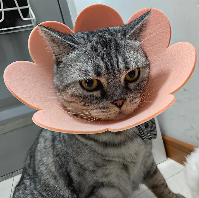 【4PCS】 Soft Cat Cone Collar,Adjustable Protective Collars for Pet Cat,Recovery cat E Collar, Anti-Bite Lick Wound Healing Soft cat Cones to Stop Licking cono para perro Cone for cat Cone Soft (M) MADCOAHLOO
