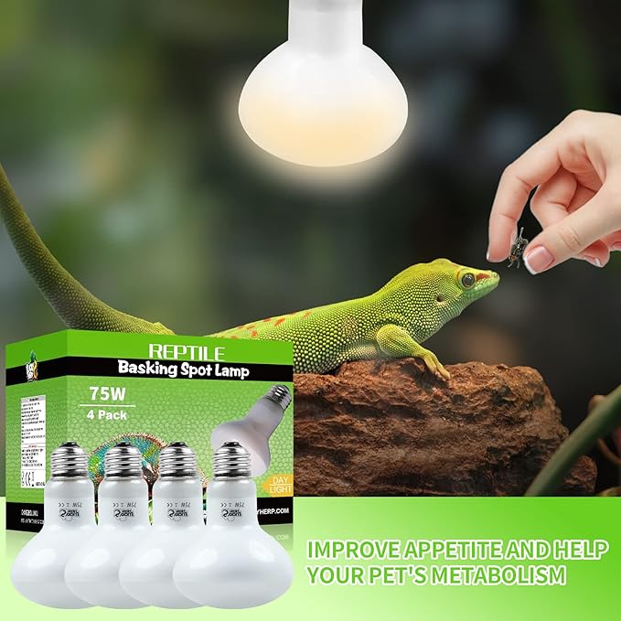 LUCKY HERP 4 Pack 75W Reptile Heat Lamp Bulb (2nd Gen), Amphibian Basking Light Bulb, Reptile Daylight Bulb for Turtle, Bearded Dragon, Lizard Heating Use LUCKYHERP