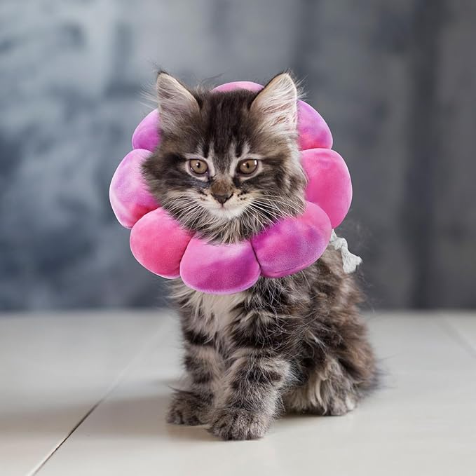 Flower Cat Cone, Uadonile Adjustable Cat Cone Collar, Soft Dog Elizabethan Collar Recovery E Collar After Surgery, Recovery E-Collar for Kittens/Puppies and Cats Recovery(Tie-dye Rose Purple, S) Uadonile