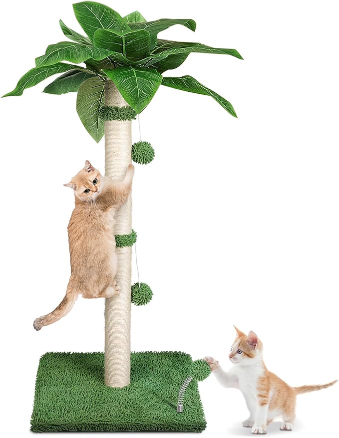 Cat Scratch Post for Indoor Cats Adults,33.5” H Sisal Scratching Post for Kitten & Large Cat, Cat Scratch Post with Spring Ball,Green - PAWPICO