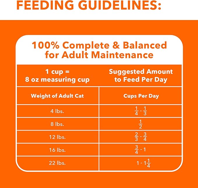 IAMS Proactive Health Adult Healthy Dry Cat Food with Salmon, 7 lb. Bag - PAWPICO