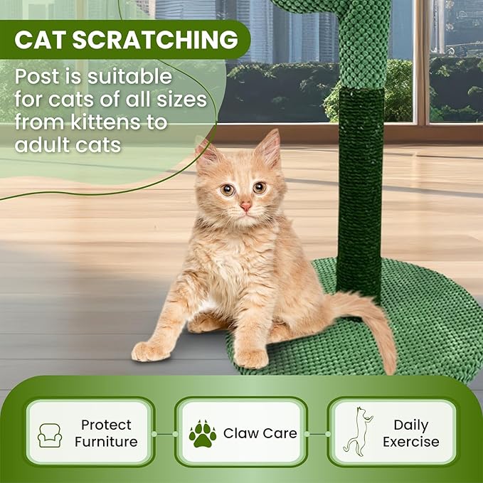 MAMONI Palm Tree Cat Scratching Post for Indoor Cats, 33" Tall Cat Scratching Post with Sisal Rope, Cute Premium Kitten Scratching Post with Hanging Ball - PAWPICO