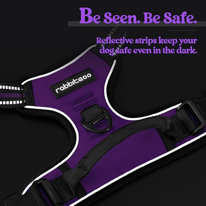 rabbitgoo Dog Harness No Pull with 2 Leash Clips, Adjustable Soft Padded, Reflective Oxford No Choke Pet Vest with Easy Control Handle for Medium Sized Dogs, Purple, M rabbitgoo