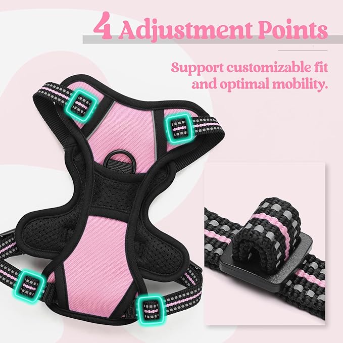 rabbitgoo Dog Harness No Pull with 2 Leash Clips, Adjustable Soft Padded, Reflective Oxford No Choke Pet Vest with Easy Control Handle for Puppy, Pink, XS rabbitgoo