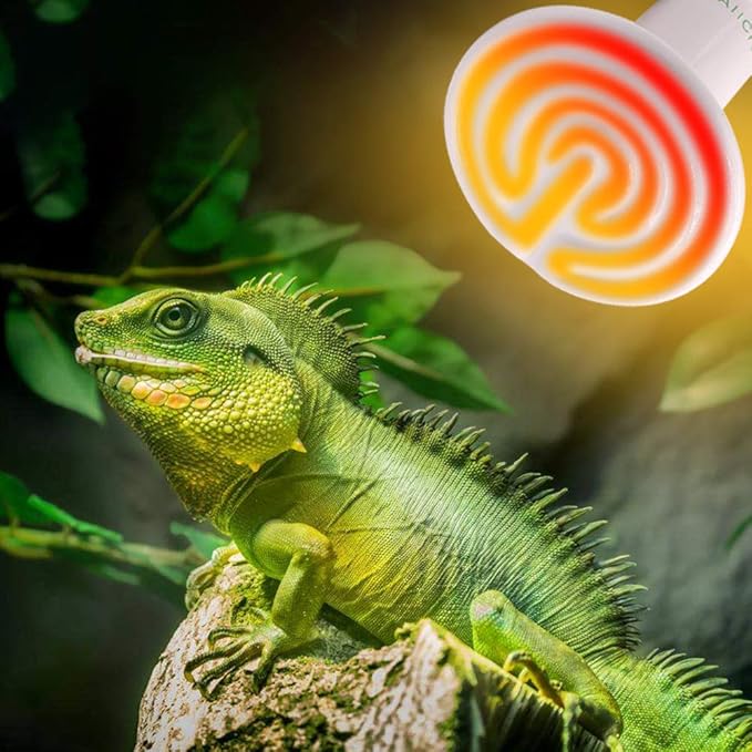 Reptile Heat Lamp Bulb -60W Ceramic Heat Emitter No Harm No Light Infrared Heater Lamp for Chicken Coop Lizard Aquarium Snake Outside Dogs Brooder 110V,White AIICIOO