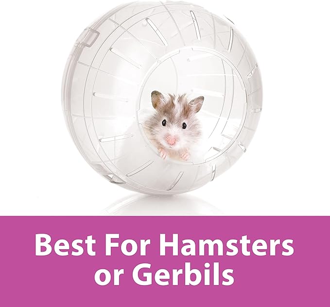 Kaytee 7" Clear Run-About Exercise Ball For Pet Hamsters & Gerbils Kaytee