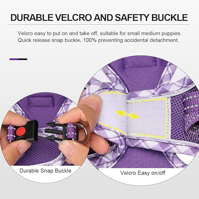 Mercano Soft Mesh Dog Harness and Leash Set, No-Chock Step-in Reflective Breathable Lightweight Easy Walk Vest Harnesses with Safety Buckle for Small Medium Dogs, Cats (L, Purple) PAWPICO