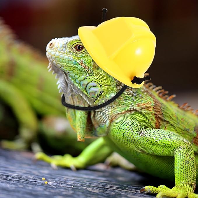 2pcs Bearded Dragon Hat Mini Pet Snake Hats with Chin Strap Small Reptile Helmet Tiny Pet Hat for Ball Python Small Animal Costume Clothing DIY Doll Crafts Lollipop UKCOCO%EF%BC%9ALightupabetterhome
