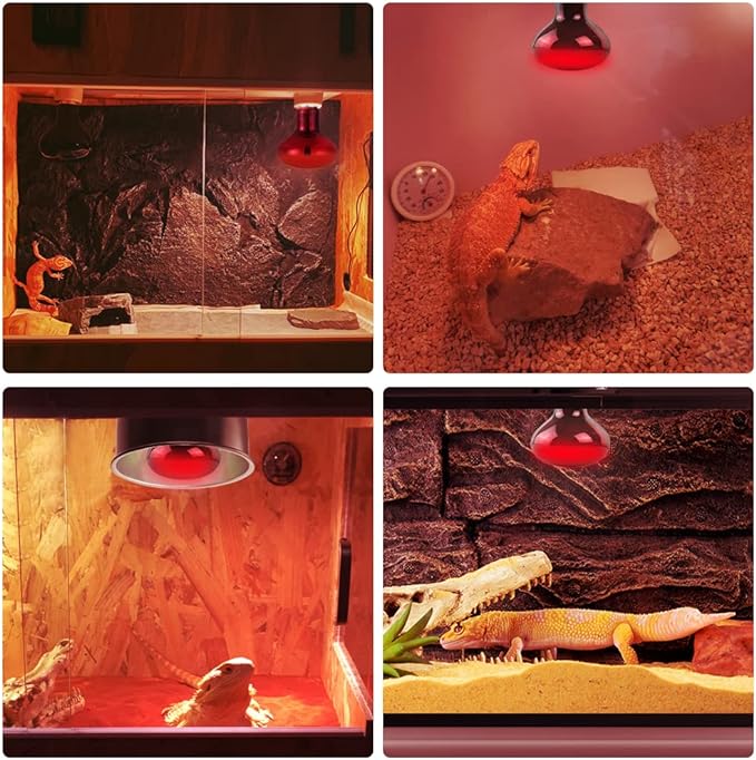 LUCKY HERP Infrared Heat Lamp 100W 2 Pack,Reptile & Amphibian Basking Spot Light Bulbs, Red Heat Lamp Bulbs for Reptiles, Bearded Dragon, Turtle, Lizard, Snake, Chicken LUCKYHERP