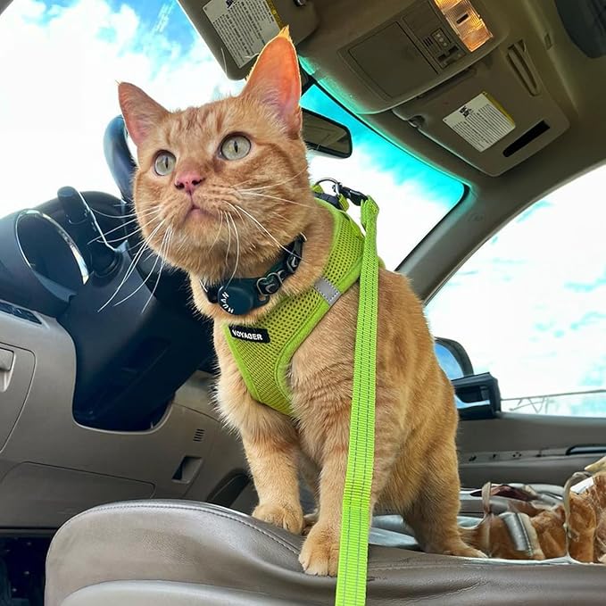 Voyager Step-in Air Dog Harness - All Weather Mesh, Reflective, No Pull Harness for Small, Medium Dogs, Cats - Secure with Hook & Loop Fastener, Buckle, Double D-Rings - Lime Green, XXXS BestPetSuppliesLLC