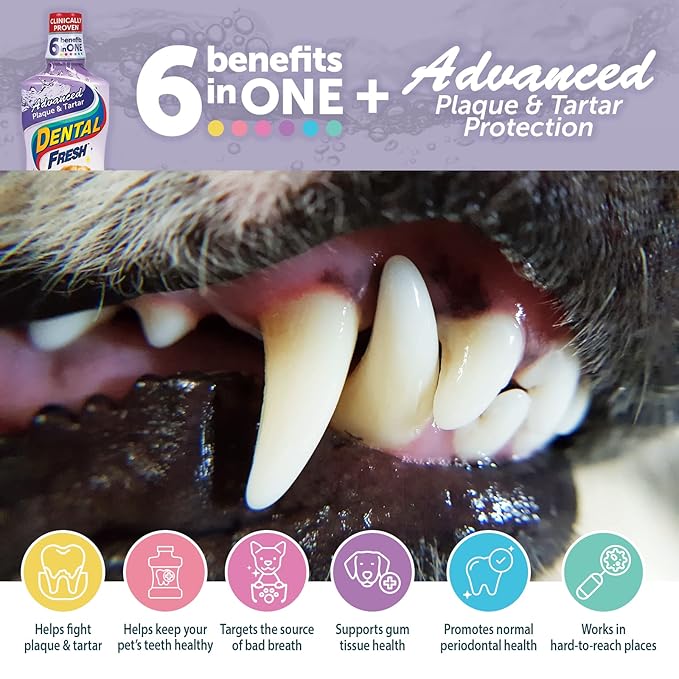 Dental Fresh Advanced Plaque and Tartar Water Additive, 32oz – Dog Teeth Cleaning Formula to Freshen Breath and Improve Overall Oral Health DentalFresh