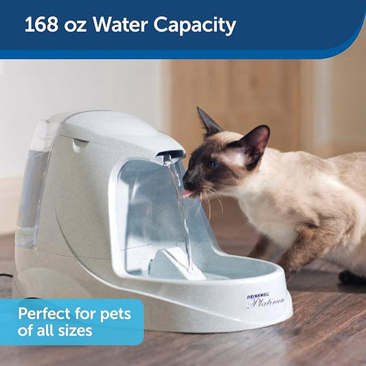 PetSafe Drinkwell Platinum Cat Water Fountain (168 oz/5L) Pet Water Fountain for All Pet Sizes, Indoor Use, Encourages More Drinking, Includes Replaceable Carbon Filter, Grey - PAWPICO
