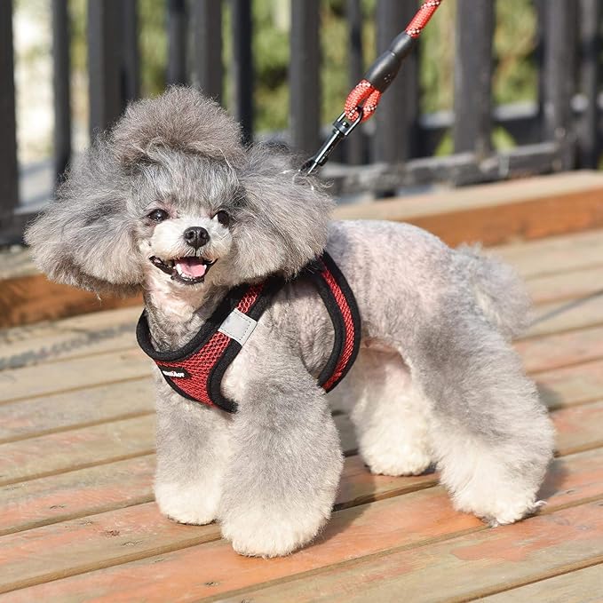 Dog Harness Step-in Breathable Puppy Cat Dog Vest Harnesses for Small Medium Dogs Red - PAWPICO