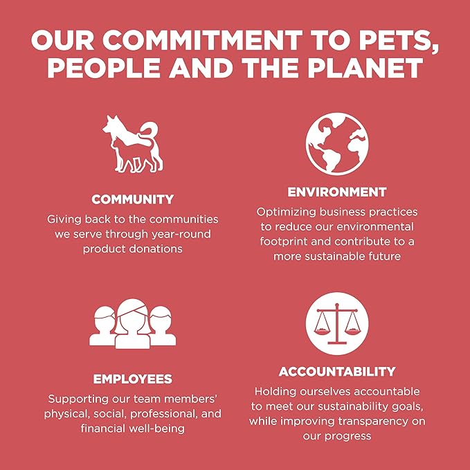 Go! Solutions Sensitivities Limited Ingredient, Grain-Free Dry Cat Food, Salmon Recipe for Sensitive Stomach, 12 lb Bag - PAWPICO