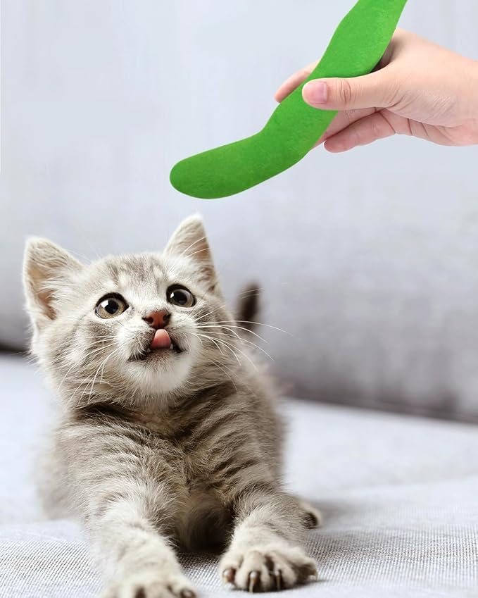 CiyvoLyeen Catnip Toy, Green Bean Cat Toys Kitten Supplies Interactive Kicker Vegetables Vegan Dental Health Teething Chew Gift for Cat Lovers Indoor 4PCS - PAWPICO