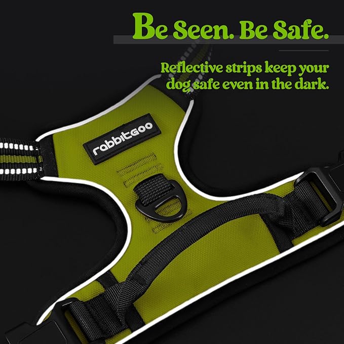 rabbitgoo Dog Harness No Pull with 2 Leash Clips, Adjustable Soft Padded, Reflective Oxford No Choke Pet Vest with Easy Control Handle for Small Dogs, Wild Lime,S rabbitgoo