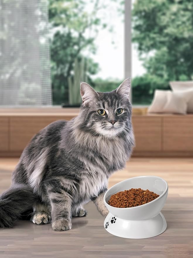 Y YHY Cat Bowl, Large Raised Cat Food Bowls Anti Vomiting, 7 Inch Tilted Elevated Cat Bowl, Ceramic Pet Food Bowl for Adult Cats and Medium Dogs, Protect Pet's Spine, Dishwasher Safe - PAWPICO