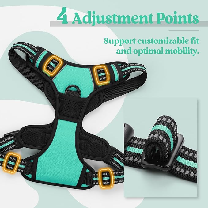 rabbitgoo Dog Harness No Pull with 2 Leash Clips, Adjustable Soft Padded, Reflective Oxford No Choke Pet Vest with Easy Control Handle for Large Dogs, Turquoise, L rabbitgoo