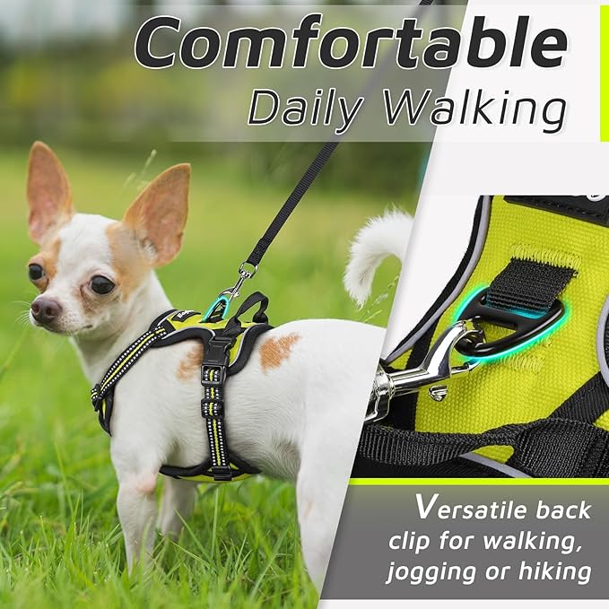 Eagloo Small Dog Harness No Pull, Service Vest with Reflective Strips and Control Handle, Adjustable and Comfortable for Easy Walking, No Choke Pet Harness with 2 Metal Rings, Green, XS GoExplorewithEagloo