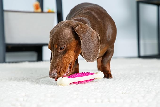 Hartz Chew 'n Clean Tuff Bone Bacon Scented Dental Dog Chew Toy - Medium - PAWPICO