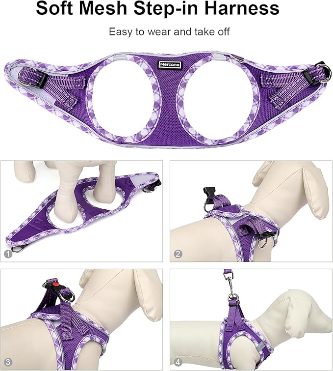 Mercano Soft Mesh Dog Harness and Leash Set, No-Chock Step-in Reflective Breathable Lightweight Easy Walk Vest Harnesses with Safety Buckle for Small Medium Dogs, Cats (L, Purple) PAWPICO