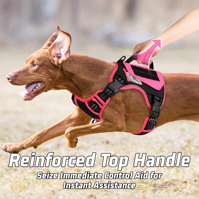 WINGOIN Tactical Dog Harness for Small Dogs, No Pull Harness with Handle Pockets Poop Bag, Reflective Dog Vest, Military Service Heavy Duty Big Dog Harness for Walking Hiking Training, Black Pink, S WINGOIN