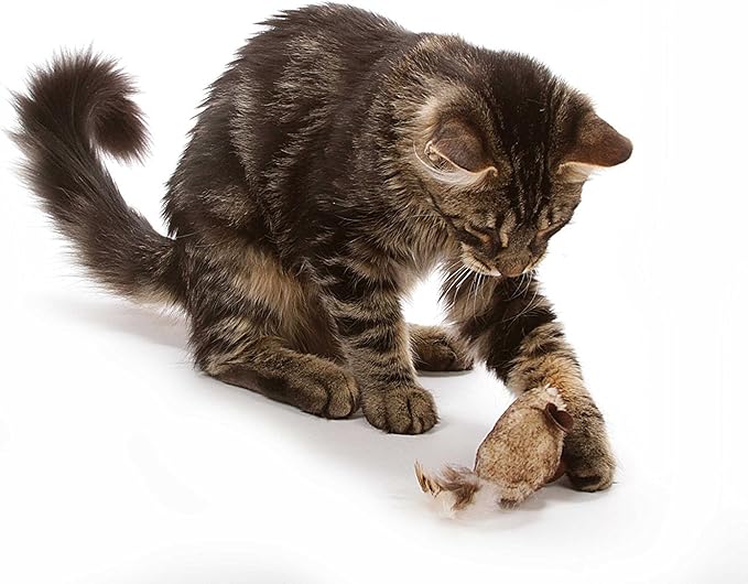 OurPets Play-N-Squeak Twice the Mice Cat Toy, 2pc (Interactive Catnip Toy, Real Mouse Electronic Sound) - PAWPICO