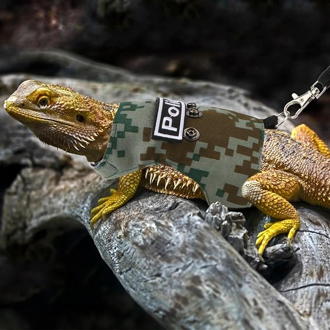 Hypeety Bearded Dragon Harness and Leash Set Adjustable Escape Proof Lizard Leash 4 Pack Outdoor Walking Training Leash and Harness for Bearded Dragon Lizard Reptiles (Green) Hypeety