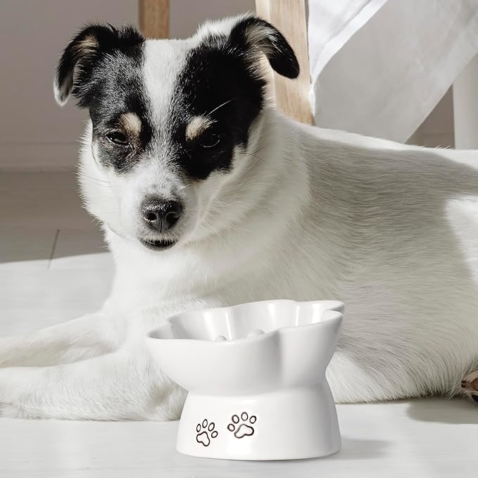 Kaiikai’s Slow Feeder Dog Bowls and Cat Food Bowl 15 oz Ceramic Dog Water Bowl Elevated Slow Feeder Dog Food Bowls Slow Feeder Cat Bowl Small Dog Slow Feeder Bowl for Dry and Wet Food Puppy Supplies - PAWPICO