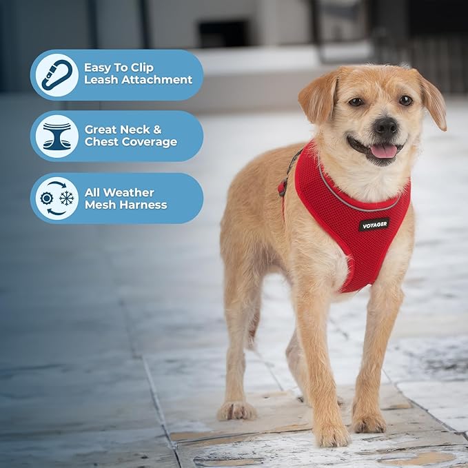 Voyager Aerolite No Pull Mesh Dog Harness with Lightweight, Soft, Breathable, Reflective Stitching, and Adjustable Straps for Walking, Running, Training, Heavy Duty and Durable - Red, S BestPetSuppliesLLC