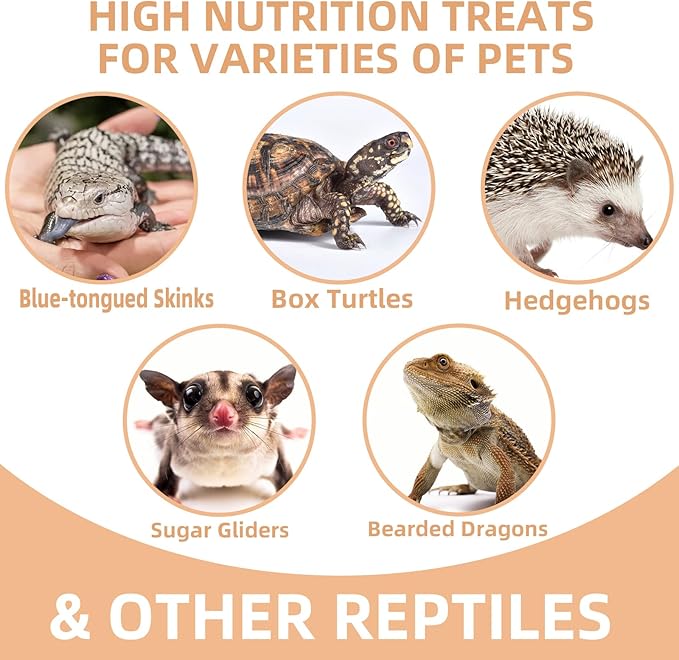 Freeze Dried Crickets – 4.5 Oz High Protein Freeze Dried Crickets, Food for Reptiles, Bearded Dragons, Lizards, Geckos, Birds, Fish,Hedgehogs, Bearded Dragon Food Jadingfarm