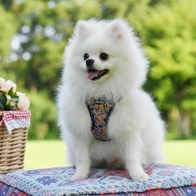 AMTOR Small Dog Harness with Leash Set, No Escape Easy Walk Puppy Harnesses for Training Walking, Step-in Reflective Soft Dogs Vest for XS S Medium Extra-Small Large Sized Dog(Beige Coconut) AMTOR