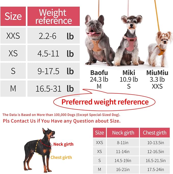 Puppytie No Pull XXS Puppy Harness with Multifunction Dog Leash,Soft Adjustable No Choke Escape Proof Pet Harness Vest,red-Camellia,XXS - PAWPICO