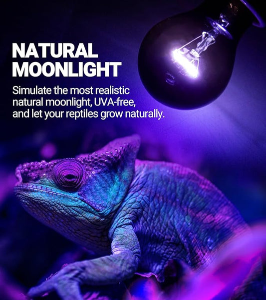 REPTI ZOO 2Pack Reptile Heat Lamp 100W Reptile Night Heat Bulb Night Heat Lamp Without UVA for Turtle Bearded Dragon Gecko Lizard and Snake E26/E27 Purple REPTIZOO