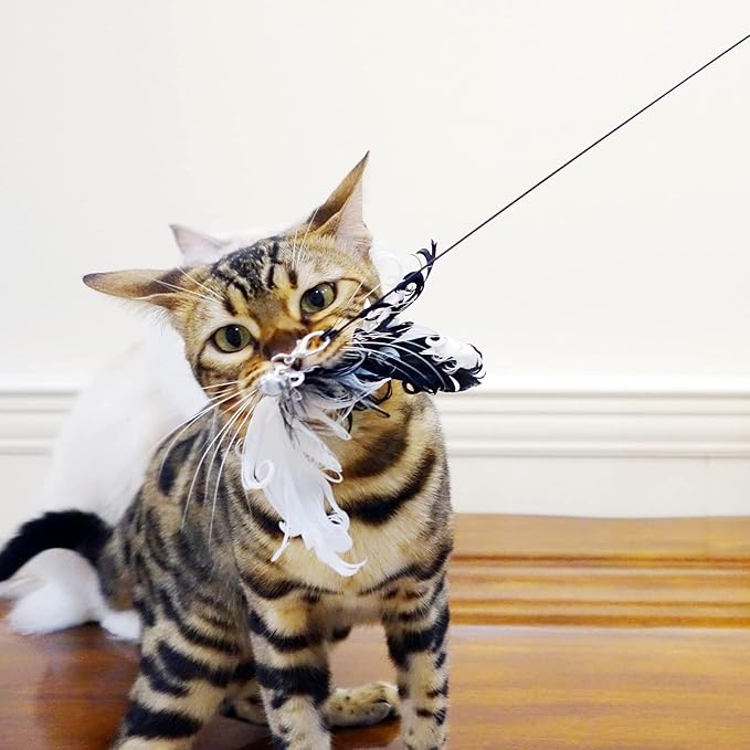Cat Wand Toys, Interactive Bird Cat Toy Set,35'' Flexible Steel Wire and 4Pcs Cat Feather Refills,Cat Teaser Toy Cat Wand Toys for Indoor Cat and Kitten. - PAWPICO