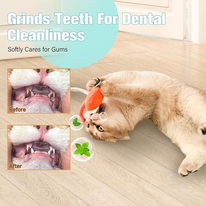 Sisal Rope Cat Toys,Safe Catnip Toys Without Wire,3 Pack Cat Toys for Bored Indoor Cats,Dental Kitty Chew Toys with Silvervine Gall Fruit,Bite-Resistant Teeth Clean Chew Cat Toy All Breeds - PAWPICO