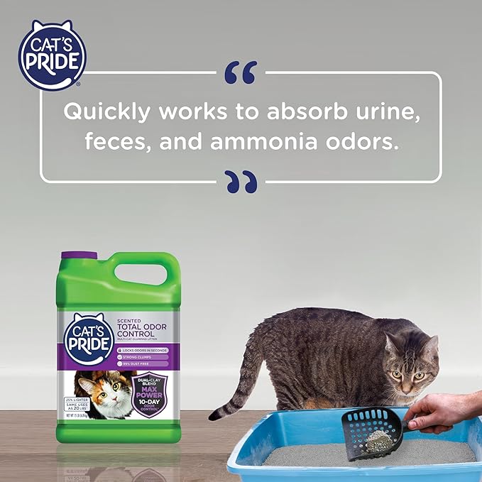 Cat's Pride Max Power: Total Odor Control - Up to 10 Days of Powerful Odor Control - Strong Clumping - 99% Dust Free - Multi-Cat Litter, Scented, 15 Pounds - PAWPICO