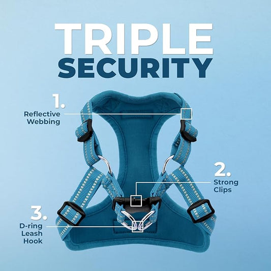Best Pet Supplies Voyager Adjustable Dog Harness Leash Set with Reflective Stripes for Walking Heavy-Duty Full Body No Pull Vest with Leash D-Ring, Breathable All-Weather - Harness (Turquoise), XS BestPetSuppliesLLC