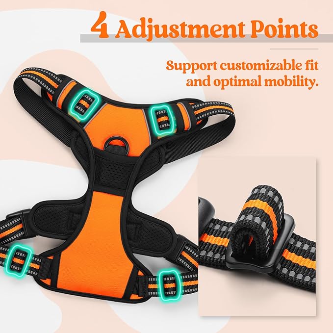 rabbitgoo Dog Harness No Pull with 2 Leash Clips, Adjustable Soft Padded, Reflective Oxford No Choke Pet Vest with Easy Control Handle for Small Dogs,Orange,S rabbitgoo