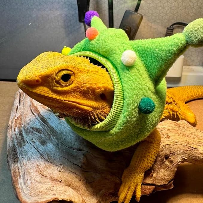 Bearded Dragon Hat - Winter Warm Lizard Cap with Horns & Pom Pom Ball Fun Halloween Outfit Bull Costume Elastic Headwear Accessories Anxiety Relief Ear Muffs for Reptile Fancy Rat Ferret (Green) SEZDEKI