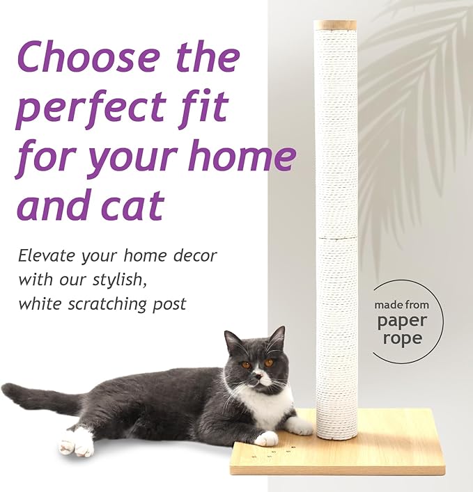 Necoichi 31.5” Tall Cat Scratching Post Kitten Scratcher Paper Rope Scratch Posts Trees with Hanging for Indoor Cats (31.5 inches for Adult Cats, Large, Oak) - PAWPICO