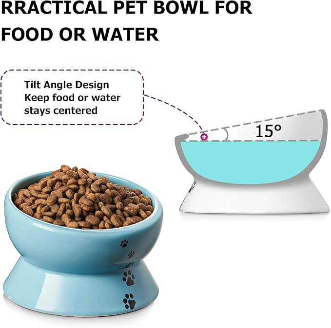 Y YHY Ceramic 15 Ounce Slanted Cat Food Water Bowl, Lake Blue - PAWPICO