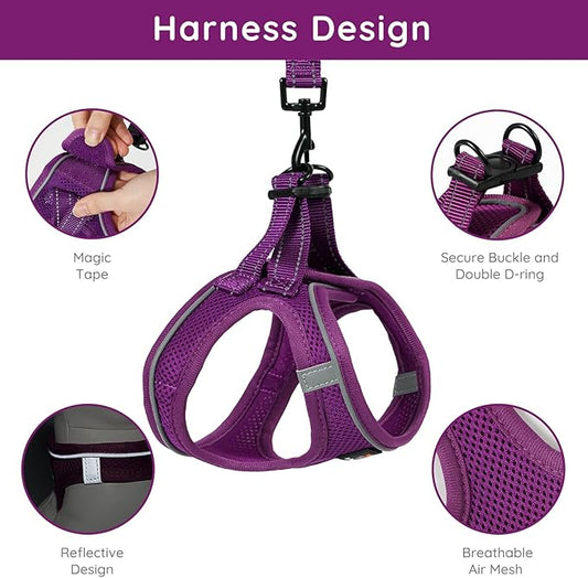 BELLA & PAL Puppy Harness with Leash Set, Dog Harness for Small Dogs No Pull, Dog Leash for Small Dogs, Step in Harness for Extra Small Dogs, Deep Purple Harness, XS BELLAPAL