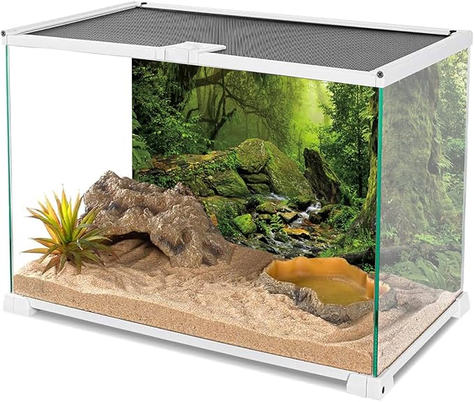 AWERT 48x24 inches Tropical Forest Terrarium Background Stream Green Huge Tree Reptile Habitat Background Foggy Rainforest Aquarium Background Durable Polyester Background HOME
