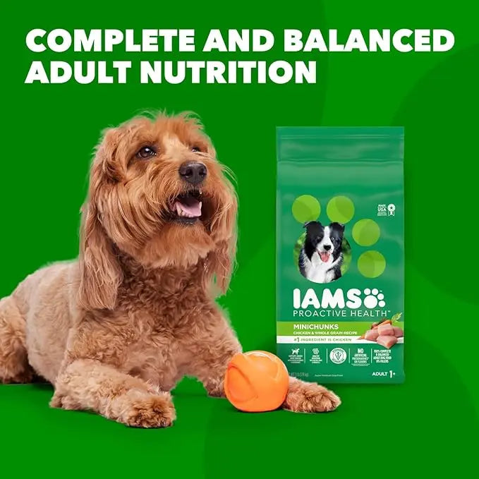 IAMS Proactive Health Minichunks Adult Dry Dog Food with Real Chicken and Whole Grains, 7 lb. Bag - PAWPICO