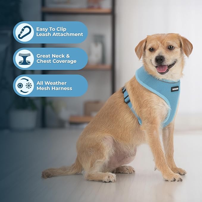 Voyager Aerolite No Pull Mesh Dog Harness with Lightweight, Soft, Breathable, Reflective Stitching, and Adjustable Straps for Walking, Running, Training, Heavy Duty and Durable - Baby Blue, XL BestPetSuppliesLLC