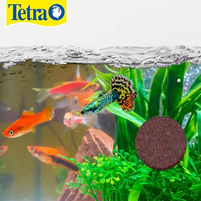Tetra Weekend and Vacation Feeder Slow-Release Fish Food for Tropical Fish 0.85 Ounce (Pack of 2) (Packaging May Vary) Tetra